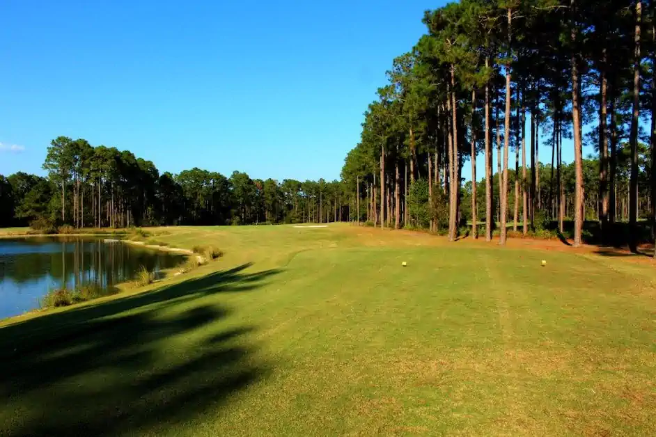Final Results: 2026 Georgia State Parks Golf Cup Championship