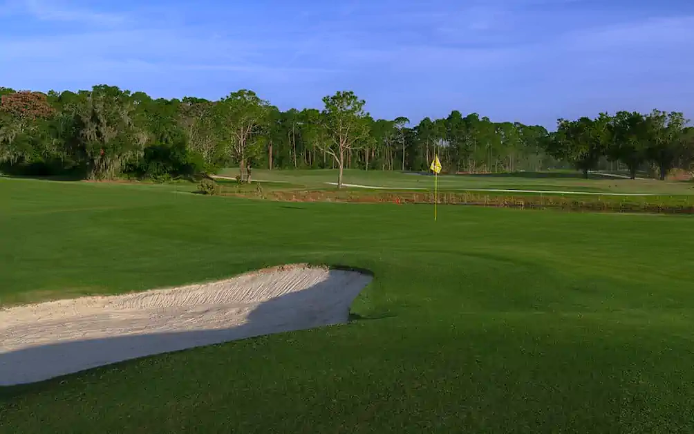 Disney World Golf